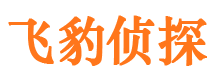 平山侦探社